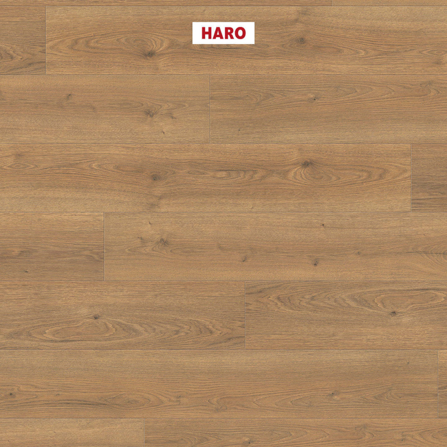 Ламинат HARO Oak Flavia Nature | 544708